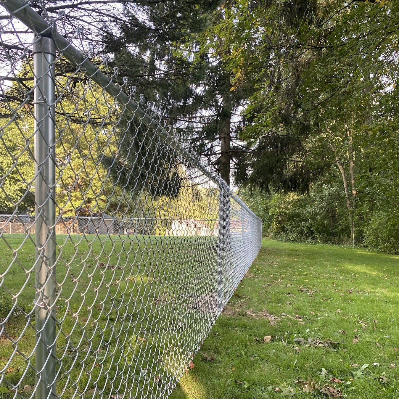 Chainlink Fence
